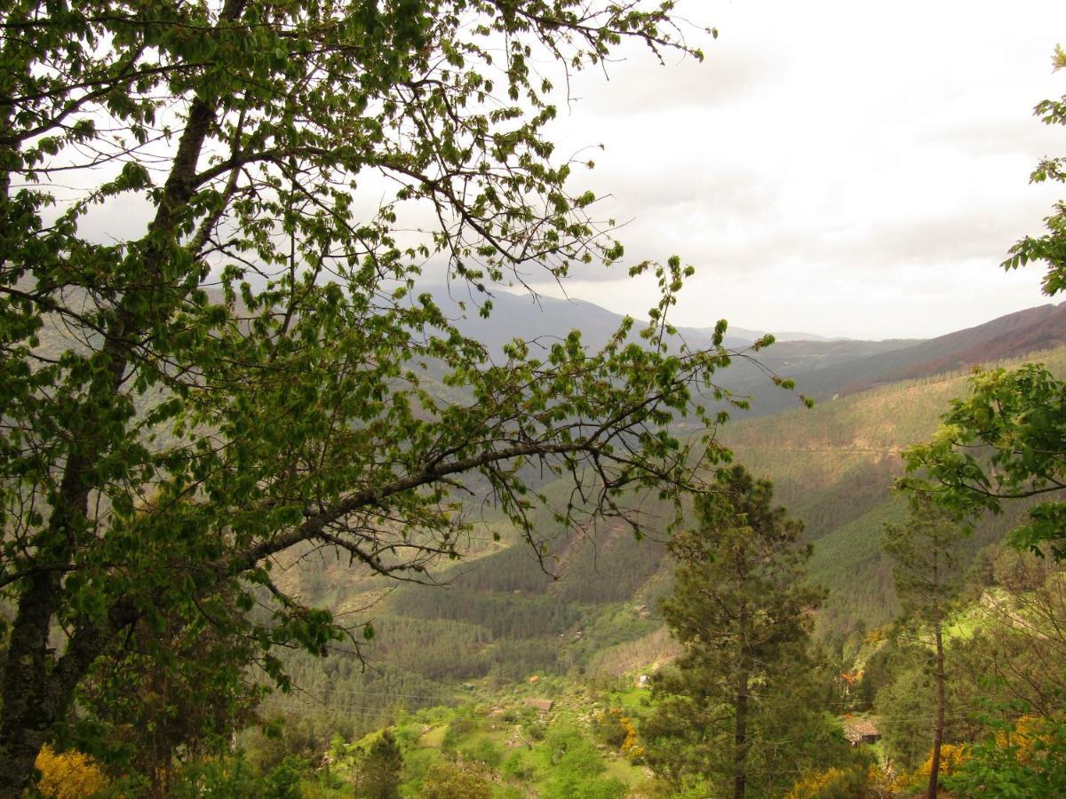 Casa Encantada - Alvoco Da Serra Villa Eksteriør bilde