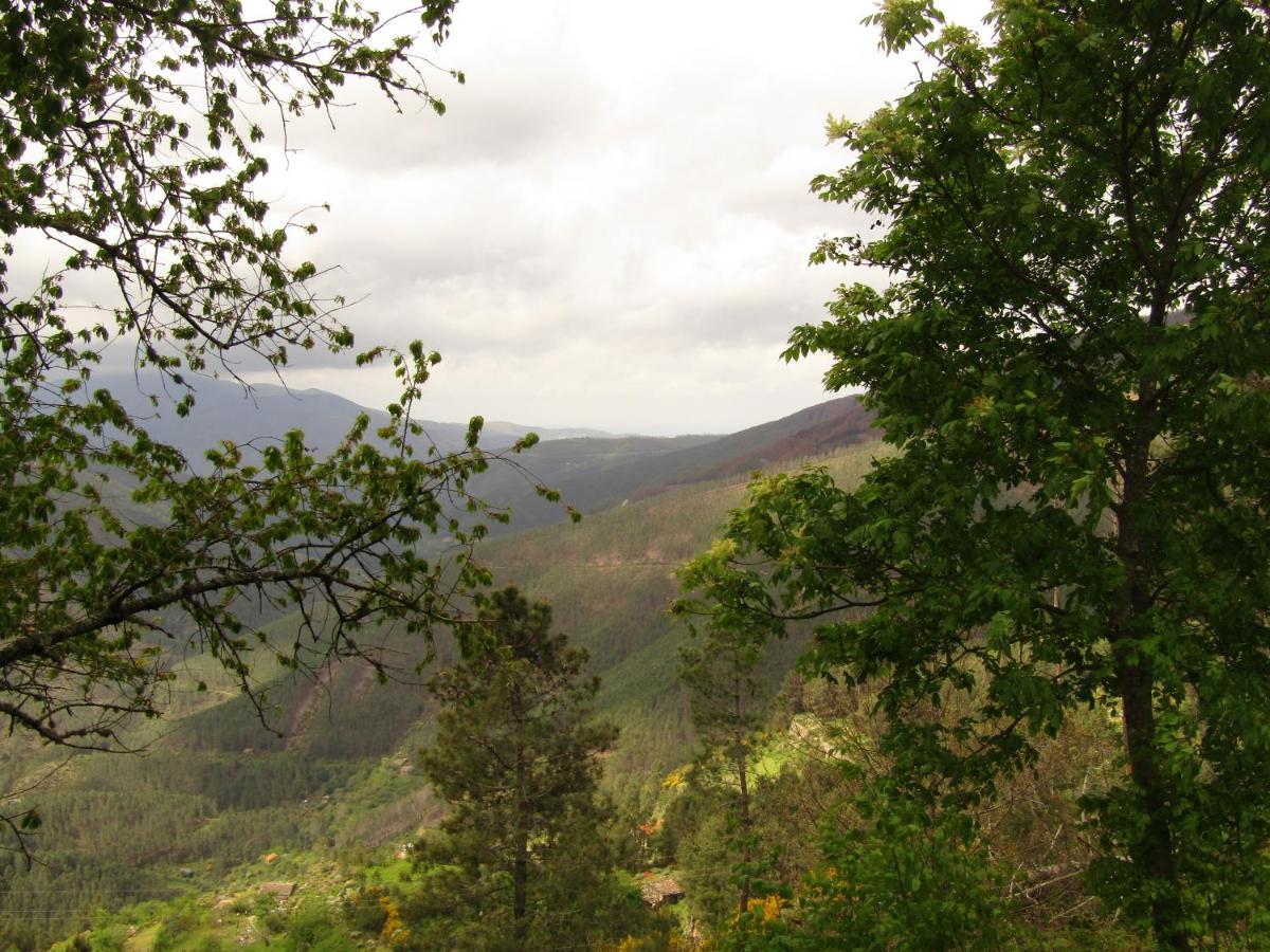 Casa Encantada - Alvoco Da Serra Villa Eksteriør bilde